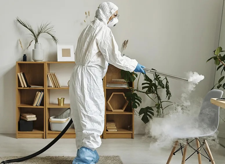 Portada Limpieza con vapor - Ecokhemia